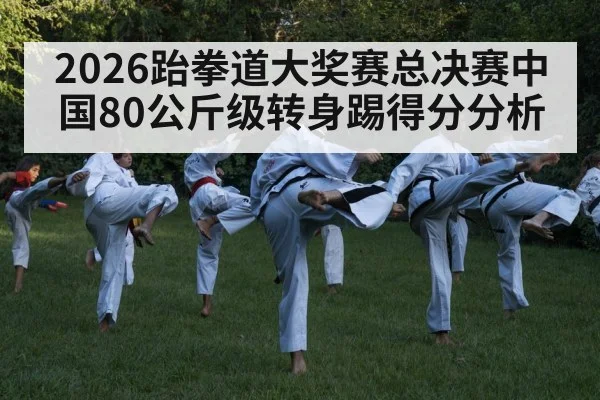 taekwondo competition kick